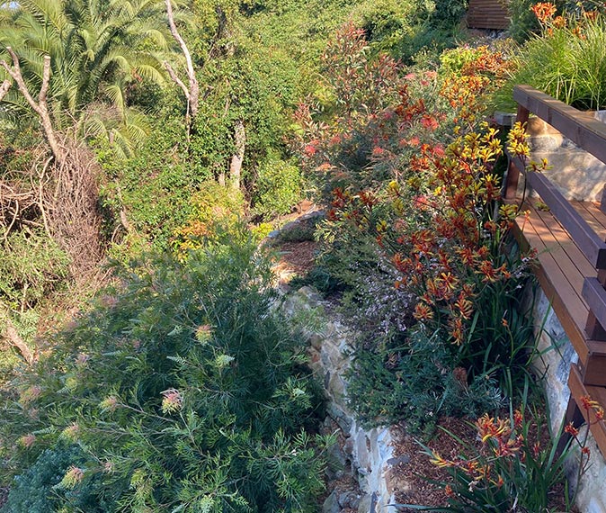 Garden Restoration